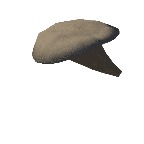 Midl mushroom 10 (803 tris)